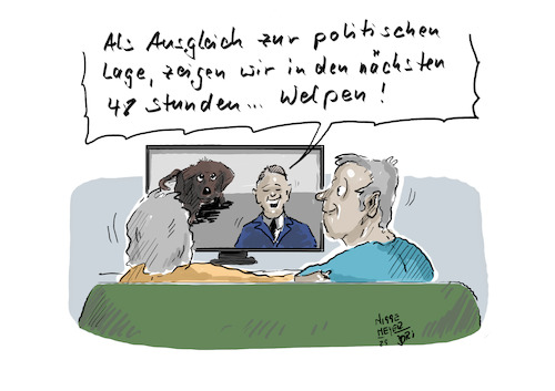 Cartoon: Nicht nur ... (medium) by Jori Niggemeyer tagged welpen,politik,ruhe,entspannung,politisch,usa,europa,menschen,russland,jori,positivethinking,positivdenken,deutschland,joricartoon,niggemeyer,joriniggemeyer,welpen,politik,ruhe,entspannung,politisch,usa,europa,menschen,russland,jori,positivethinking,positivdenken,deutschland,joricartoon,niggemeyer,joriniggemeyer