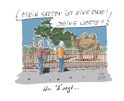 Wer A sagt ...