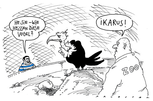 Cartoon: geier (medium) by Andreas Prüstel tagged geier,pleitegeier,griechenland,ikarus,zoo,geier,pleitegeier,griechenland,ikarus,zoo