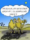 Cartoon: brehms tierleben (small) by sam tagged animals beziehung character bunt tier kamel sam