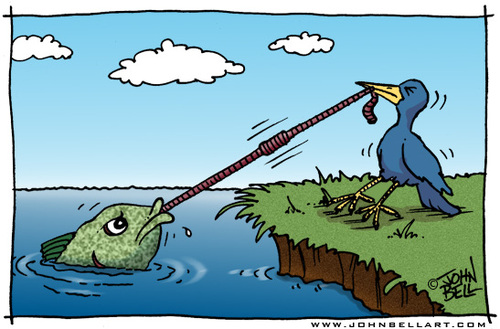 Cartoon: The Struggle (medium) by JohnBellArt tagged struggle,bird,fish,worm,tug,pull,equal,desires,power,victim