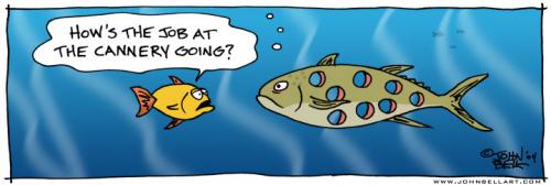Cartoon: Tuna (medium) by JohnBellArt tagged tuna,cannery,fish,holes,work