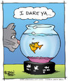 Cartoon: Dare (small) by JohnBellArt tagged cat,fish,fishbowl,dare,conflict,piranha,deadly,killer