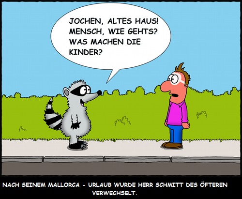 Cartoon: Verwechslungsgefahr (medium) by sinnfrei-cartoons tagged waschbär,sonnenbrand,mallorca,urlaub,verwechslung