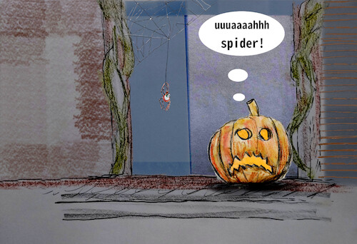 Cartoon: halloweenhorror (medium) by ab tagged halloween,pumpkin,spider