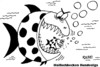Cartoon: Haifische (small) by RABE tagged bundesliga,transfer,ablösesumme,götze,borussia,dortmund,fc,bayern,münchen,hoeneß,präsident,steuerhinterziehung,steuerdebatte,selbstanzeige,millionen,rabe,ralf,böhme,cartoon,karikatur,hai,haifisch,haifischbecken,meer,wasser,finanzminister,schweiz