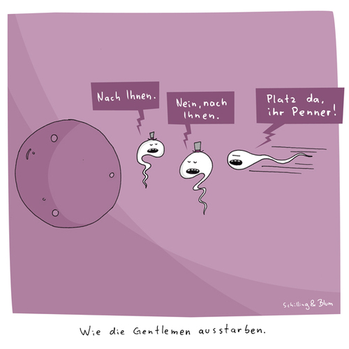 Cartoon: Durchbruch (medium) by Schilling  Blum tagged höflichkeit,benimmregeln,eizelle,spermien