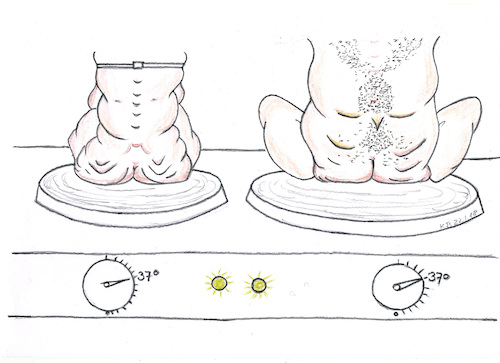 Cartoon: GroKo - Erfolg (medium) by menschenskindergarten tagged groko,spd,cdu,merkel,schulz,seehofer,kühnert