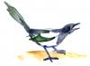 Cartoon: Magpie (small) by stip tagged water colour magpie pastel