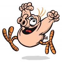 Schweinevogel's avatar