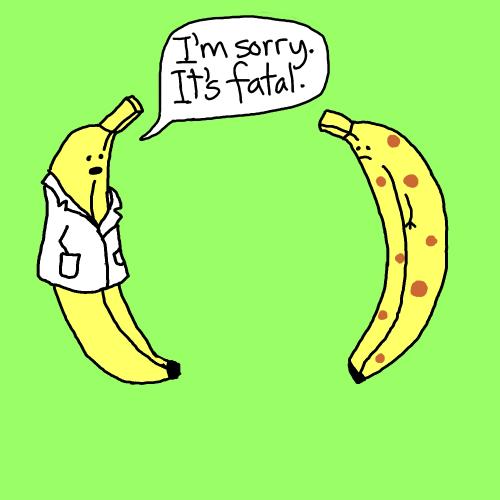 Cartoon: bananas (medium) by mfarmand tagged bananas,docor,diagnosis