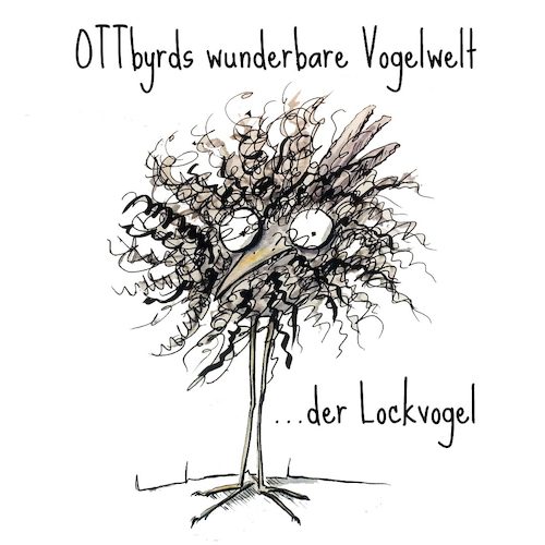 Cartoon: Der Lockvogel (medium) by OTTbyrds tagged vogelwelt,haarpracht,afro,vogelarten,wortspiele,hair