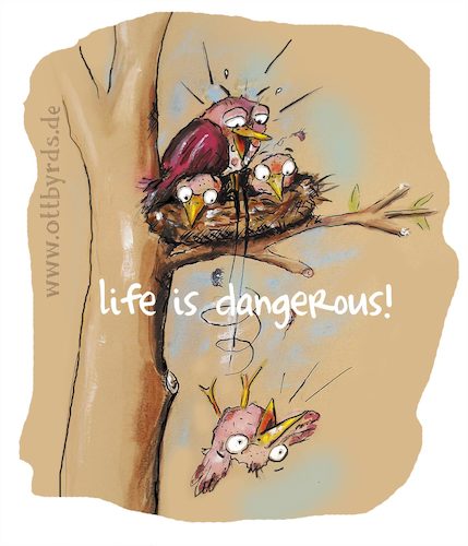 Cartoon: Life is dangerous (medium) by OTTbyrds tagged danger,life,experience,nestflüchter,gefahr,ottbyrds