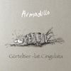 Cartoon: Das Gürteltier (small) by OTTbyrds tagged gürteltier,armadillo,cingulata,festgschnallt,festgefahren,schnalle,zwickmühle,zwang,zwanghaft,erdrückend,zugeschnürt,lacedup,stuck,belt,stappeddown,gepresst,pressed,tierarten,animal,species,depressed,gefesselt,tiedup
