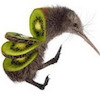 Cartoon: kiwi (small) by kiwi tagged kiwi