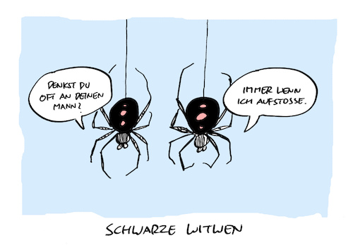 Cartoon: Gedenken (medium) by Bregenwurst tagged spinne,schwarze,witwe,kannibalismus,aufstoßen
