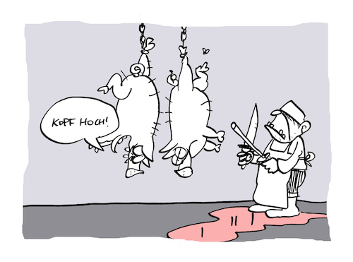 Cartoon: Saukomisch (medium) by Bregenwurst tagged schwein,schlachter,metzger,kopf,hoch