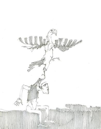 Cartoon: Ganymed (medium) by herranderl tagged mythologie