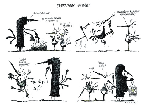 Cartoon: Plumas y patos (medium) by mortimer tagged mortimer,mortimeriadas,cartoon
