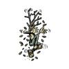 Cartoon: Dancing Treeman (small) by mortimer tagged mortimer,mortimeriadas,cartoon,treebeing,dancing,tree,treeman