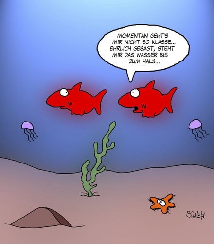 Cartoon: Fisch (medium) by Karsten Schley tagged leben,gesundheit,wasser,natur,tiere