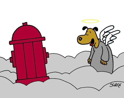 Cartoon: Hunde-Paradies (medium) by Karsten Schley tagged tiere,hunde,religion,himmel,paradies,christentum,tod,kirche,tiere,hunde,religion,himmel,paradies