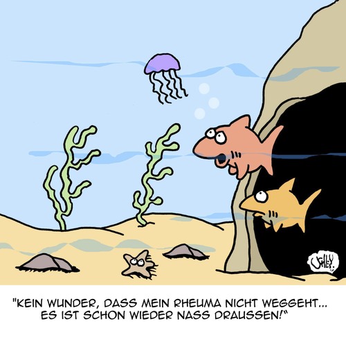 Cartoon: Kein Wunder! (medium) by Karsten Schley tagged wetter,klima,tiere,natur,gesundheit,wasser,ozeane,meere,wetter,klima,tiere,natur,gesundheit,wasser,ozeane,meere