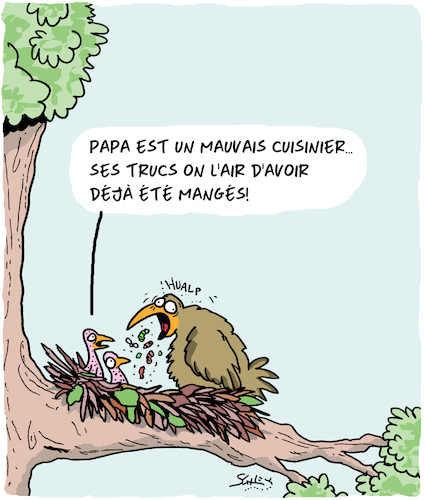 Cartoon: Papa fait la cuisine (medium) by Karsten Schley tagged oiseaux,poussins,nourriture,nature,parents,familles,oiseaux,poussins,nourriture,nature,parents,familles