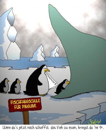 Cartoon: Pinguin - Schule (medium) by Karsten Schley tagged schule,bildung,fischen,sport,pinguine