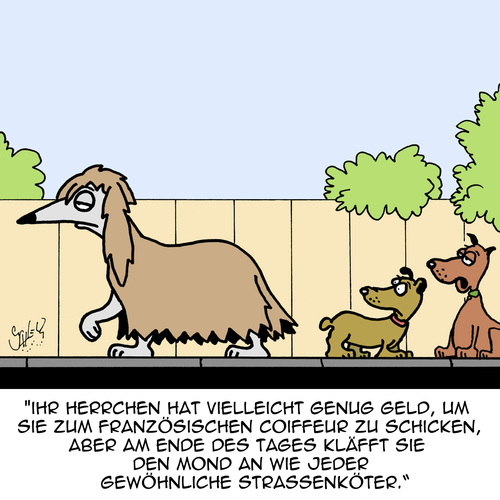 Cartoon: Reich und schön (medium) by Karsten Schley tagged tiere,hunde,reichtum,frisuren,mentalität,mode,lifestyle,tiere,hunde,reichtum,frisuren,mentalität,mode,lifestyle