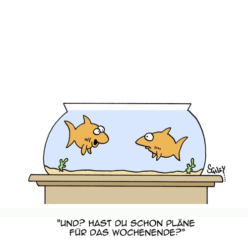 Cartoon: Schönes Wochenende!! (medium) by Karsten Schley tagged fische,haustiere,tiere,pläne,wochenende,hobby,freizeit,freizeit,hobby,wochenende,pläne,tiere,haustiere,fische