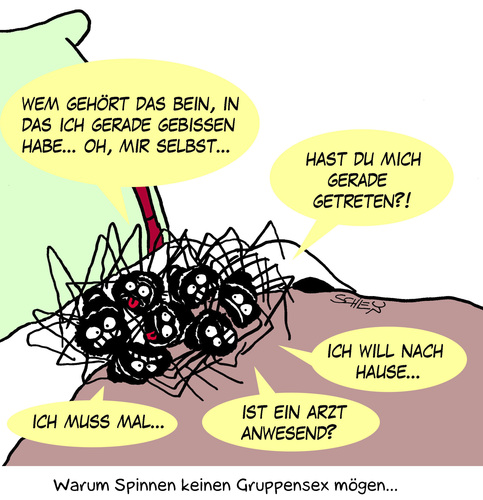 Cartoon: Warum Spinnen keinen Gruppensex (medium) by Karsten Schley tagged tiere,gesundheit,gruppensex,tiere,gesundheit,spinnen,lust,leidenschaft,liebe