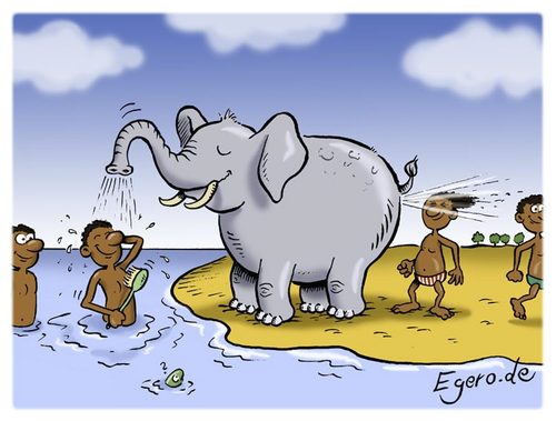 Cartoon: native toilet system (medium) by Egero tagged toilet,energiesparen,elefant,egero,eger