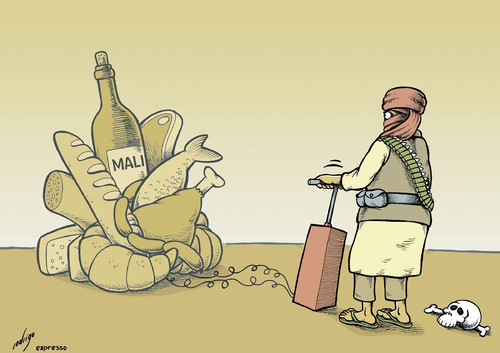 Cartoon: Malignition (medium) by rodrigo tagged mali,terror,kidnaps,attacks,al,qaeda,bomb,algeria,africa,rebels