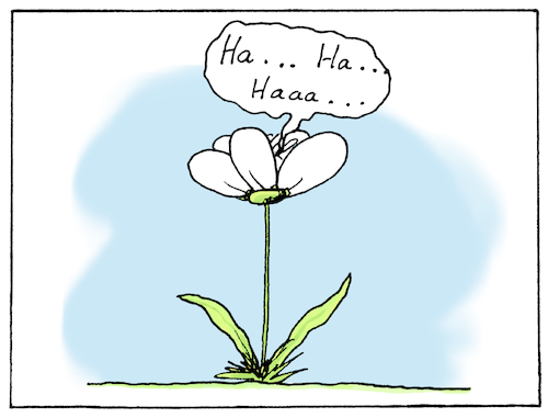 Hummel Hummel