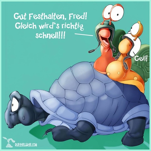 Cartoon: Schnecken Relativ (medium) by Charmless tagged schnecken,schildkröte,relativ,schnell,helm
