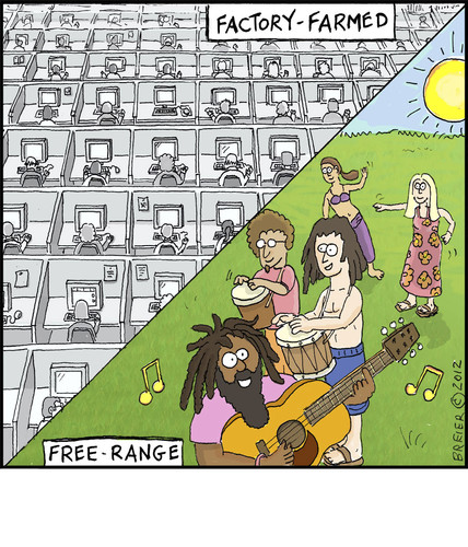 Cartoon: Free-Range (medium) by noodles tagged factory,farming,freerange,hippies,food
