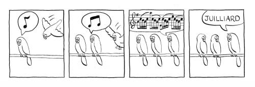Cartoon: Juilliard (medium) by noodles tagged music,birds