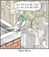 Cartoon: Pigeon Mantra (small) by noodles tagged pigeon,mantra,noodles,city,bird