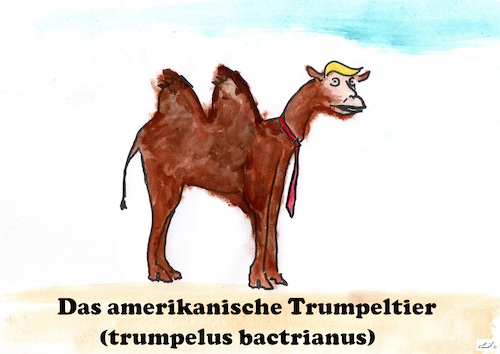 Cartoon: Trumpletier (medium) by Stefan von Emmerich tagged vote,him,away,donald,trump,dump,president,america,the,liar,tweets,tonight