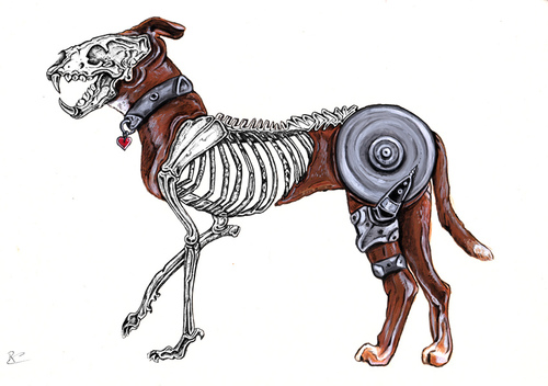 Cartoon: Hard Drive Dog (medium) by Battlestar tagged illustration,hund,dog,animals,tiere,skeleton,skelett,festplatte,nature,natur