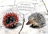 Cartoon: Keiner mag mich (small) by jakpet tagged corona,covid19,tiere,tierliebe,antipathie,virus,igel
