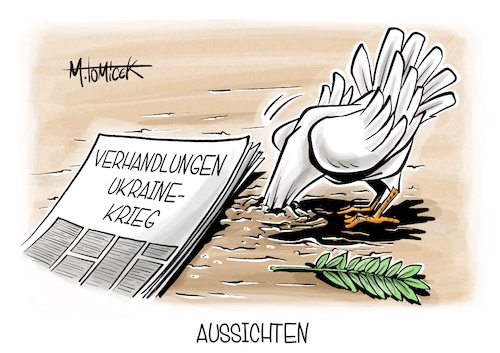 Cartoon: Aussichten (medium) by Mirco Tomicek tagged beendigung,ukraine,krieg,russland,russisch,verhandlung,verhandlungen,frieden,friedensverhandlungen,friedenstaube,putin,selenskyj,istanbul,karikatur,pressekarikatur,cartoon,mirco,tomicek,beendigung,ukraine,krieg,russland,russisch,verhandlung,verhandlungen,frieden,friedensverhandlungen,friedenstaube,putin,selenskyj,istanbul,karikatur,pressekarikatur,cartoon,mirco,tomicek