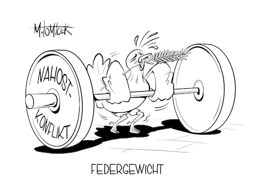 Federgewicht