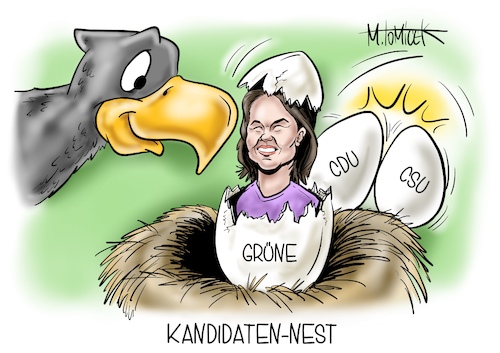 Kandidaten-Nest