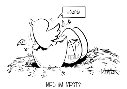 Neu im Nest?