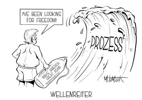 Wellenreiter Wellenreiter