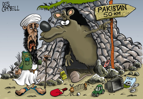 Cartoon: The real reason he had to move! (medium) by campbell tagged osama,bin,laden,bear,cave,terrorist,dead