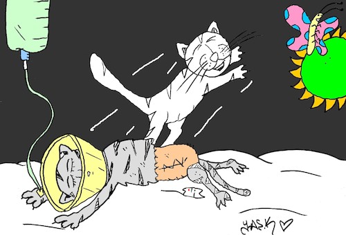 Cartoon: alley Cat (medium) by yasar kemal turan tagged alley,cat