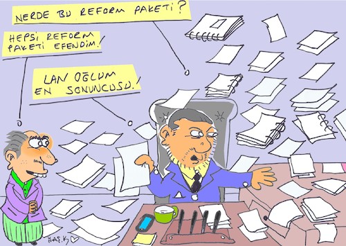Cartoon: economic reform (medium) by yasar kemal turan tagged economic,reform